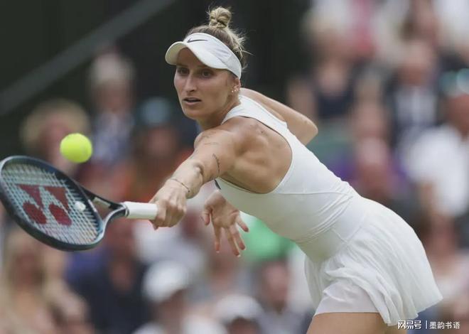 传洞穿莱斯 传洞穿莱斯